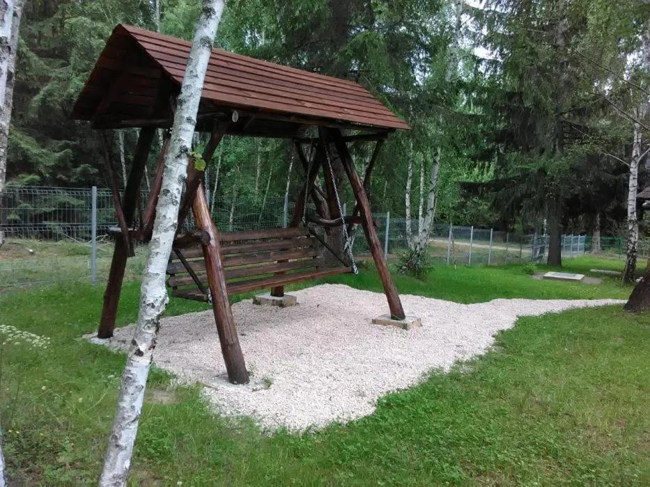 Din Padurea Belis Si Casuta Din Copac