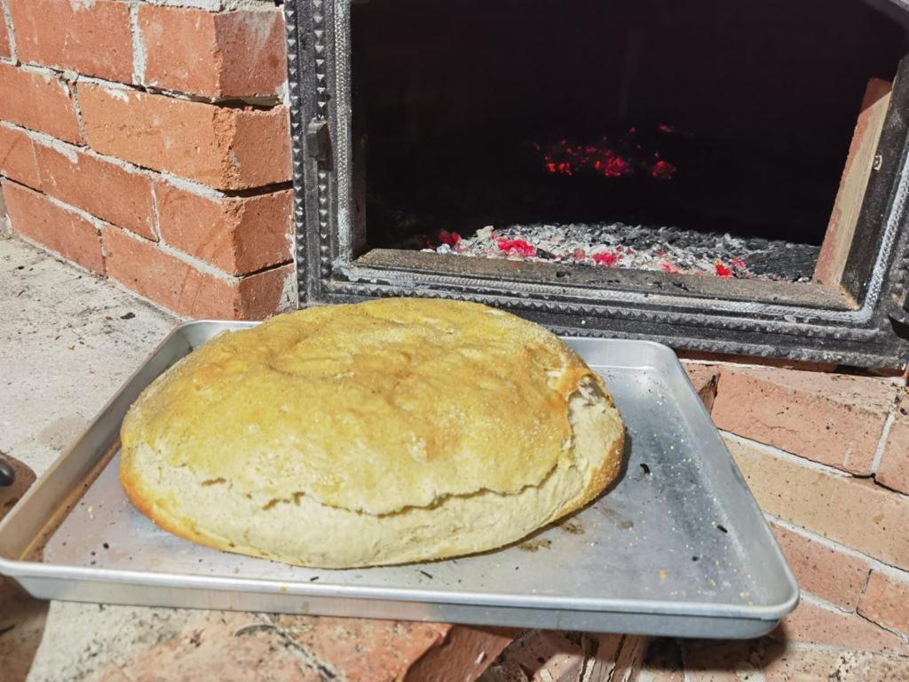 Nhà nghỉ Din Padurea Belis Si Casuta Din Copac Cluj-Napoca